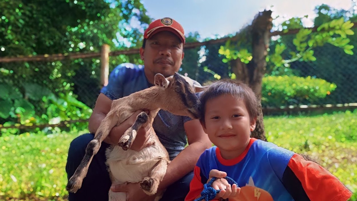 Galeri Domba Alam Farm